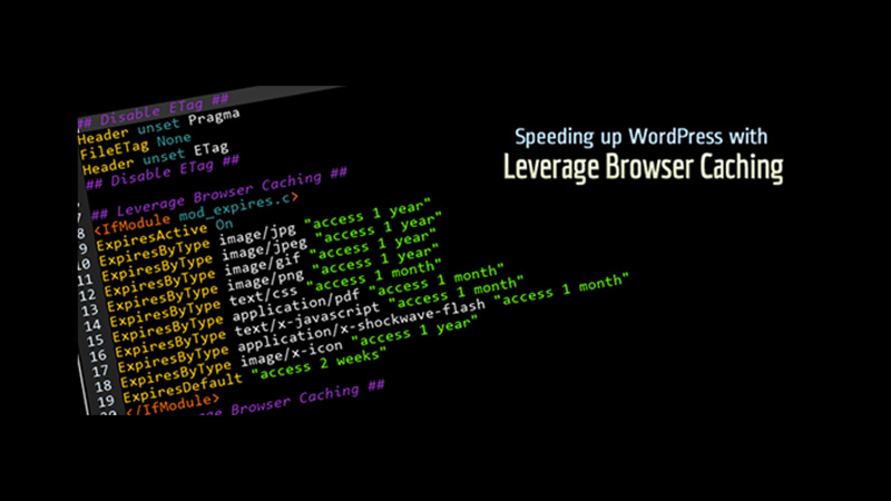 How Browser Caching Works in WordPress (And How to Fix It)
